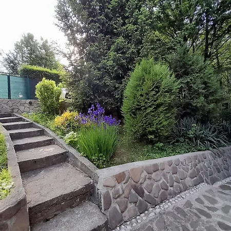 Din Padurea Valeni * Vălenii de Munte