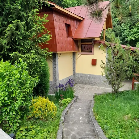 Case de vacanță Din Padurea Valeni Vălenii de Munte